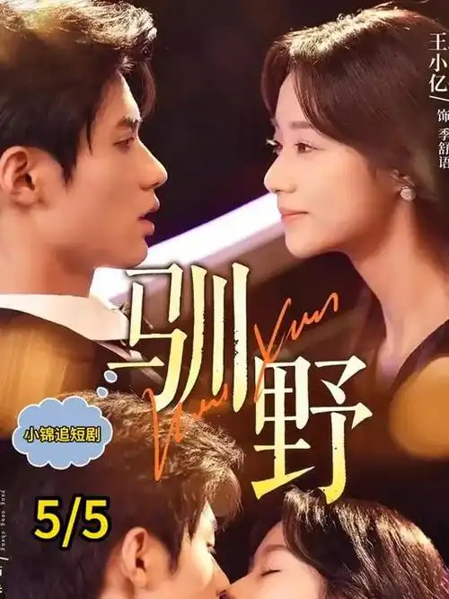 悟空影院都市情感短剧闪婚老伴是豪门海报